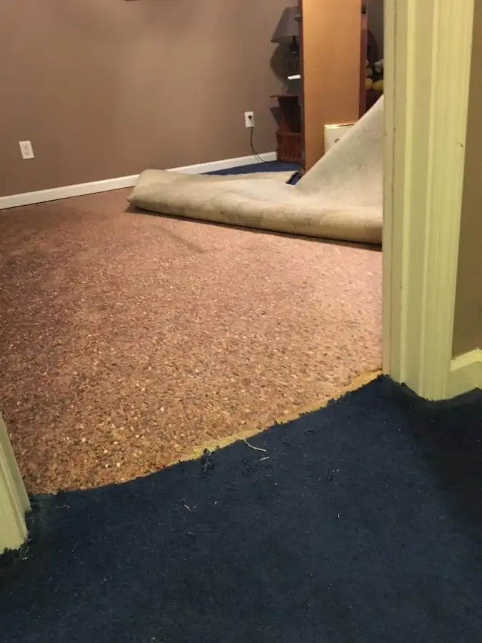 Carpet pad removal revealing water damage during Water Mitigation Services in Goshen