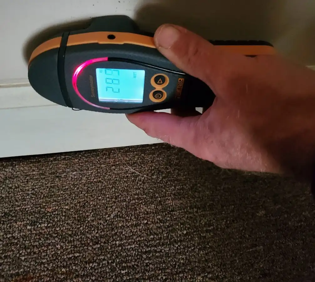 Moisture detection at baseboard during Sewage Cleanup & Sanitation in Goshen